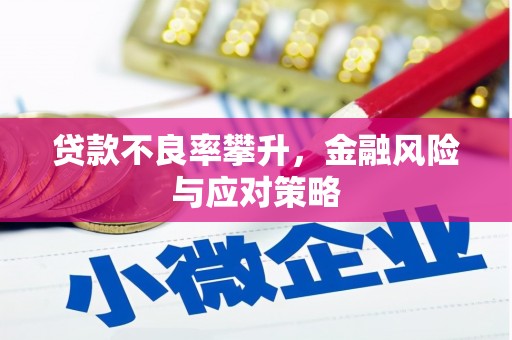 甘洛贷款不良率攀升，金融风险与应对策略