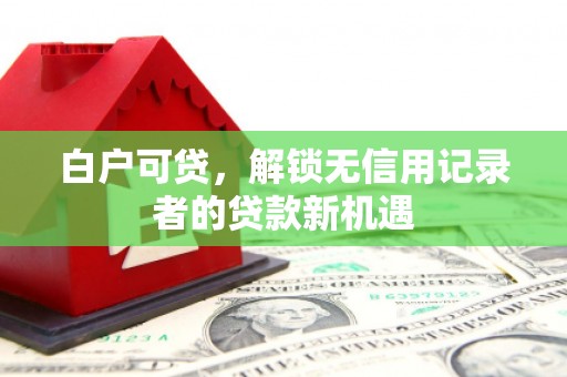 甘洛白户可贷，解锁无信用记录者的贷款新机遇
