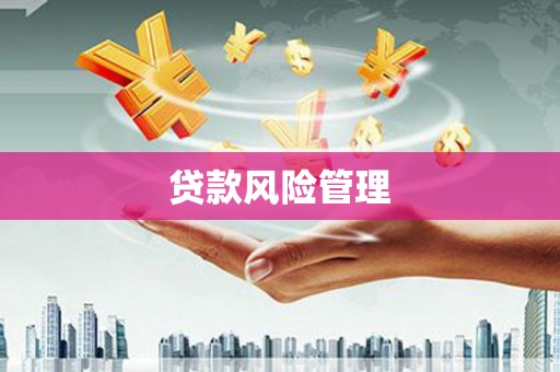 甘洛贷款风险管理