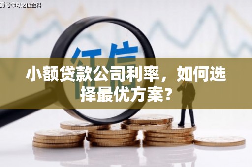 甘洛小额贷款公司利率，如何选择最优方案？