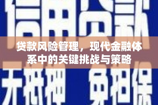 甘洛贷款风险管理，现代金融体系中的关键挑战与策略