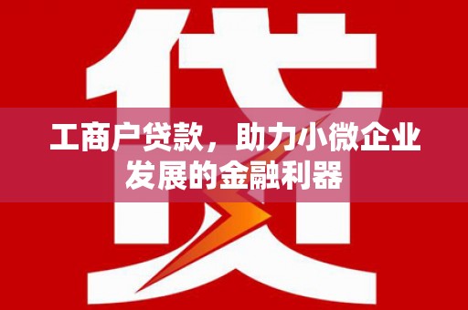 甘洛工商户贷款，助力小微企业发展的金融利器