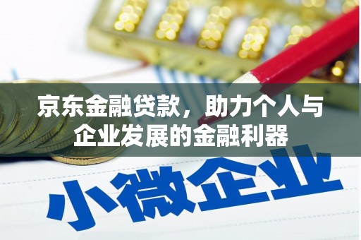 甘洛京东金融贷款，助力个人与企业发展的金融利器