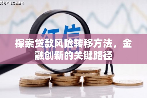 甘洛探索贷款风险转移方法，金融创新的关键路径