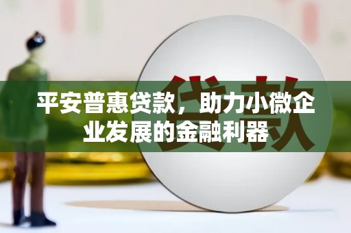 甘洛平安普惠贷款，助力小微企业发展的金融利器