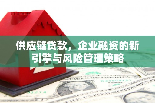 甘洛供应链贷款，企业融资的新引擎与风险管理策略