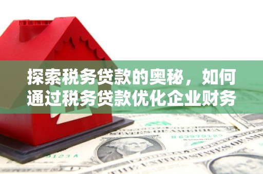 甘洛探索税务贷款的奥秘，如何通过税务贷款优化企业财务