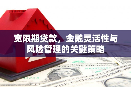 甘洛宽限期贷款，金融灵活性与风险管理的关键策略