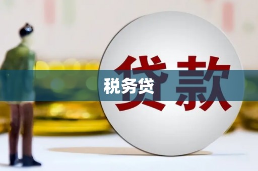 甘洛税务贷