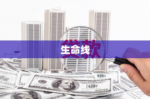 甘洛生命线