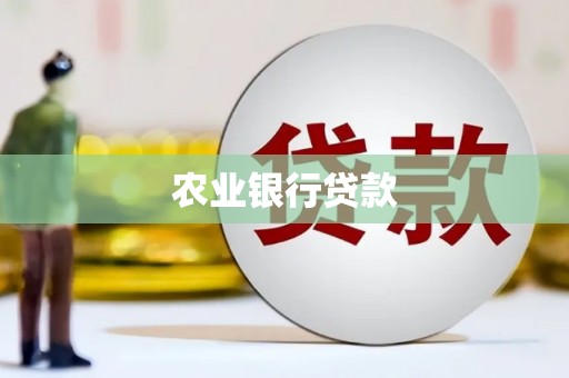甘洛农业银行贷款