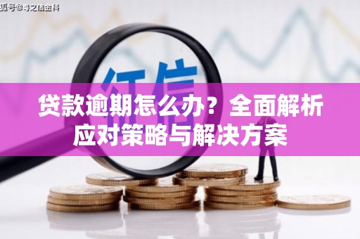 甘洛贷款逾期怎么办？全面解析应对策略与解决方案
