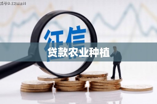 甘洛贷款农业种植