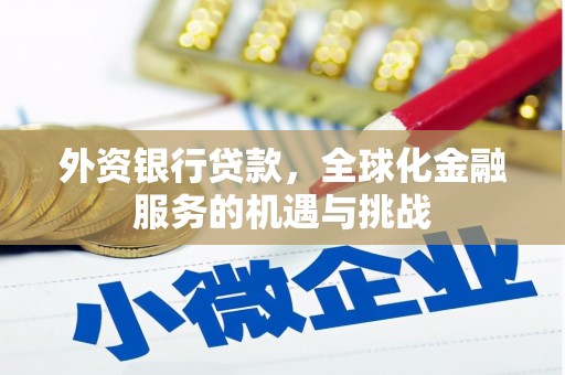 甘洛外资银行贷款，全球化金融服务的机遇与挑战