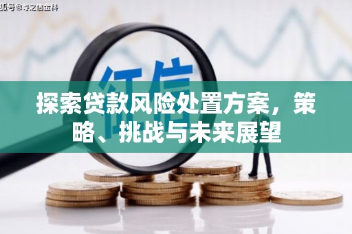 甘洛探索贷款风险处置方案，策略、挑战与未来展望