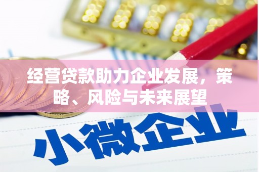 甘洛经营贷款助力企业发展，策略、风险与未来展望