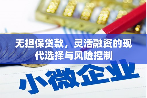 甘洛无担保贷款，灵活融资的现代选择与风险控制