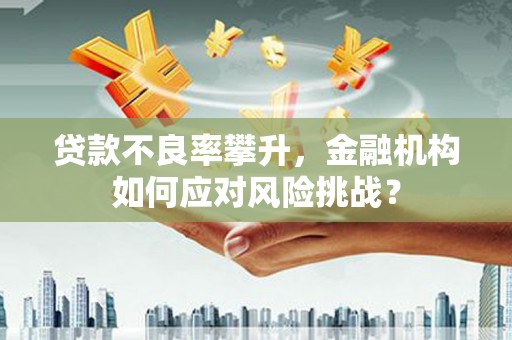 甘洛贷款不良率攀升，金融机构如何应对风险挑战？