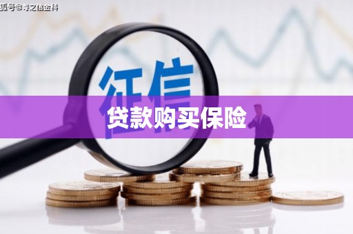 甘洛贷款购买保险