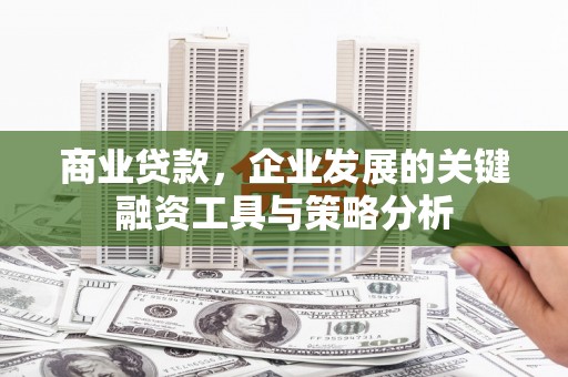 甘洛商业贷款，企业发展的关键融资工具与策略分析