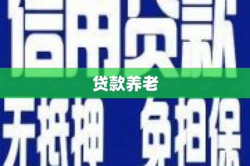 甘洛贷款养老