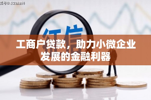 甘洛工商户贷款，助力小微企业发展的金融利器