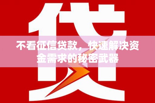 甘洛不看征信贷款，快速解决资金需求的秘密武器