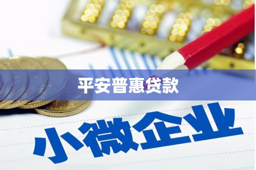 甘洛平安普惠贷款