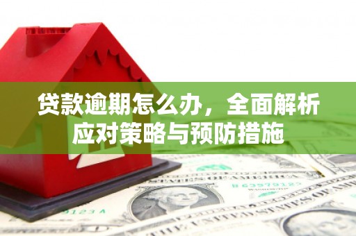 甘洛贷款逾期怎么办，全面解析应对策略与预防措施