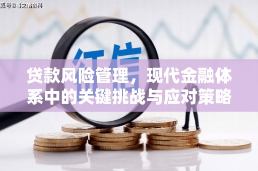 甘洛贷款风险管理，现代金融体系中的关键挑战与应对策略