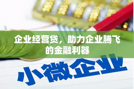 甘洛企业经营贷，助力企业腾飞的金融利器