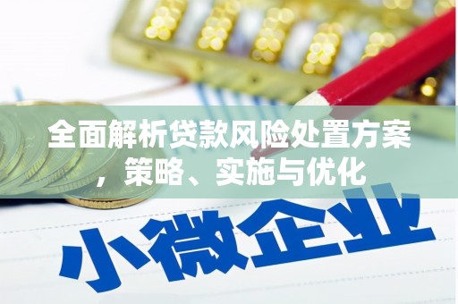甘洛全面解析贷款风险处置方案，策略、实施与优化