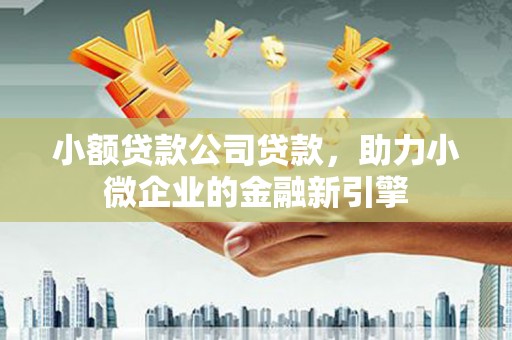 甘洛小额贷款公司贷款，助力小微企业的金融新引擎