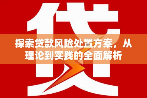 甘洛探索贷款风险处置方案，从理论到实践的全面解析