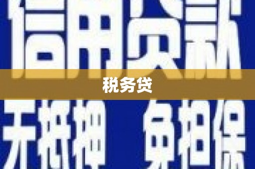 甘洛税务贷