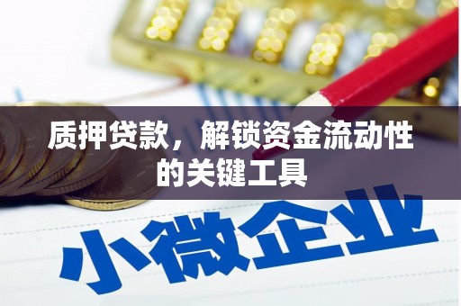 甘洛质押贷款，解锁资金流动性的关键工具