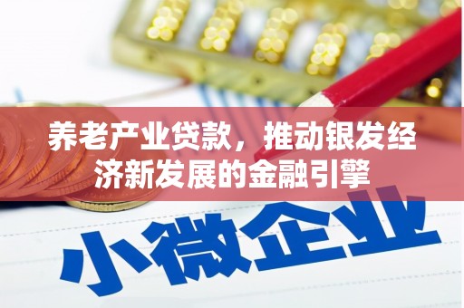 甘洛养老产业贷款，推动银发经济新发展的金融引擎