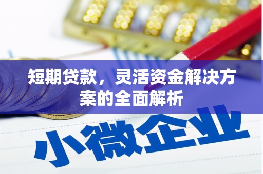 甘洛短期贷款，灵活资金解决方案的全面解析