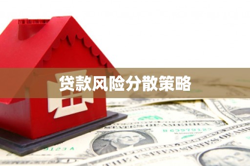 甘洛贷款风险分散策略