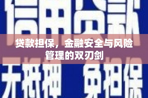 甘洛贷款担保，金融安全与风险管理的双刃剑
