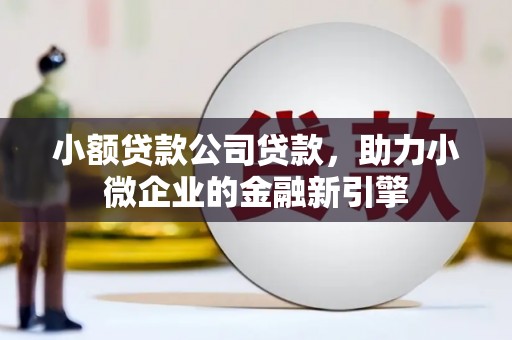 甘洛小额贷款公司贷款，助力小微企业的金融新引擎