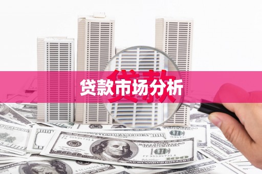 甘洛贷款市场分析