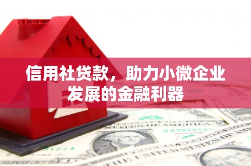 甘洛信用社贷款，助力小微企业发展的金融利器