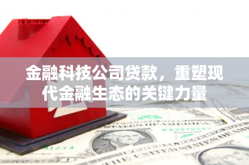 甘洛金融科技公司贷款，重塑现代金融生态的关键力量