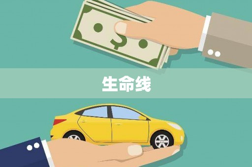 甘洛生命线