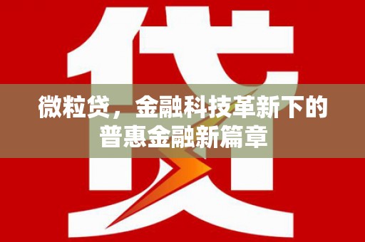 甘洛微粒贷，金融科技革新下的普惠金融新篇章