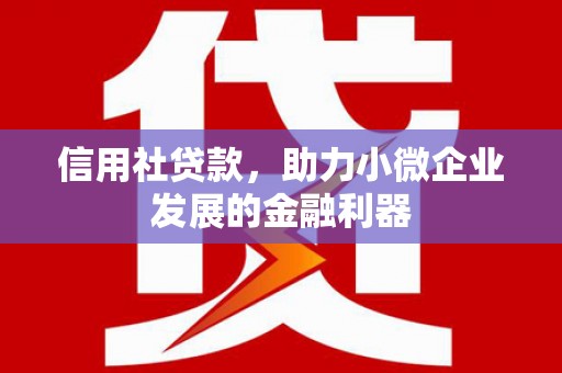 甘洛信用社贷款，助力小微企业发展的金融利器