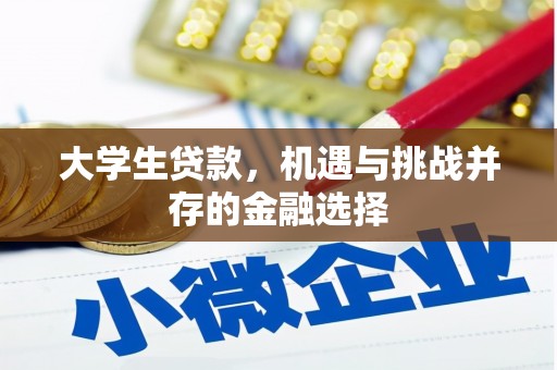 甘洛大学生贷款，机遇与挑战并存的金融选择