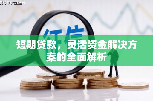 甘洛短期贷款，灵活资金解决方案的全面解析
