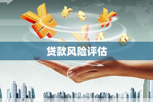 甘洛贷款风险评估